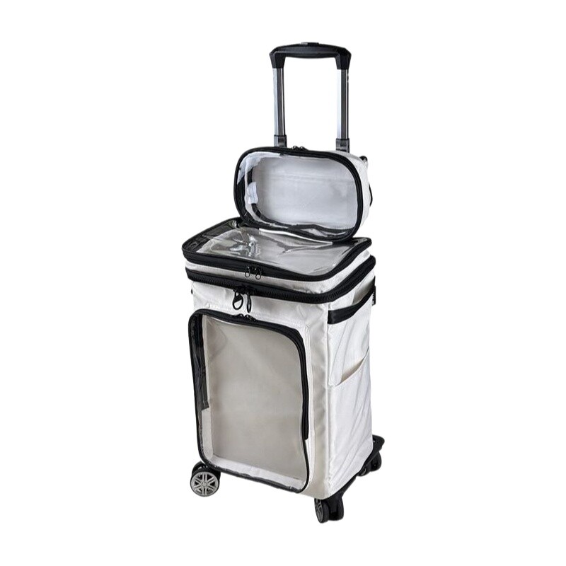 Harajuku stijl cartoon transpa - Spinner Wheel Rolling Suitcase 20 Inch recensie en prijs